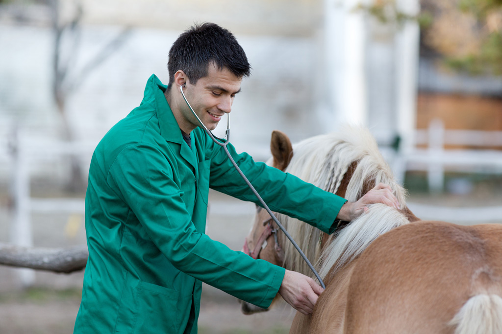 Source: Vet Practice Magazine, AUGUST 28, 2017