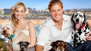 Image from http://wtfn.com/program/bondi-vet-fred/