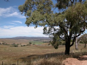 OConnell road NSW