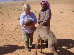 Baby Camel with presumed tick paralysis