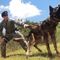 Inside the headquarters for military dogs …“As an Army vet, this is really an amazing place to work”