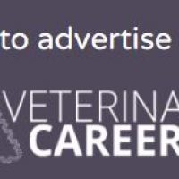 ADVERTISE your VETERINARY JOB VACANCY NOW & receive 70% OFF