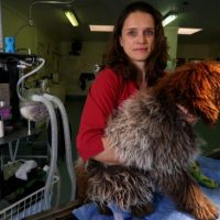 Vets’ mental health crisis: Nembutal in the spotlight