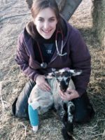 A VeterinaryCareers.com.au interview of Dr Júlia Pásztor