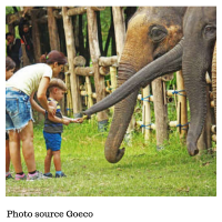 Thailand – Elephant Forest Refuge – Volunteering