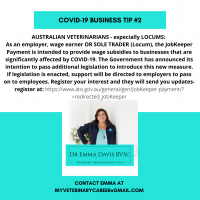 Navigating COVID-19 – Business Tips for the Veterinary Industry #2 JobKeeper Payment
