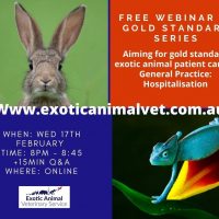 Dr Jayne Weller Gold Standard Exotic Animal Webinar Series: Installment #2 – Hospitalisation